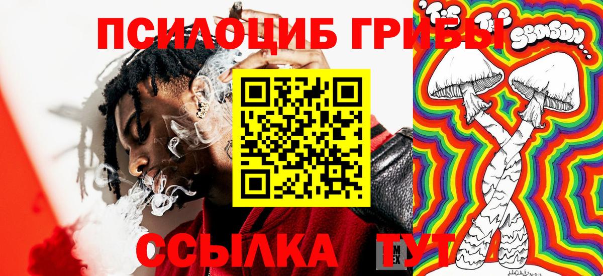 Псилоцибиновые грибы ЛСД  Галлюциногенные грибы Cubensis  Губаха  Вход с VPN 