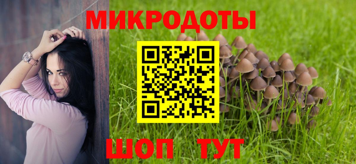 Галлюциногенные грибы прущие грибы Губаха
